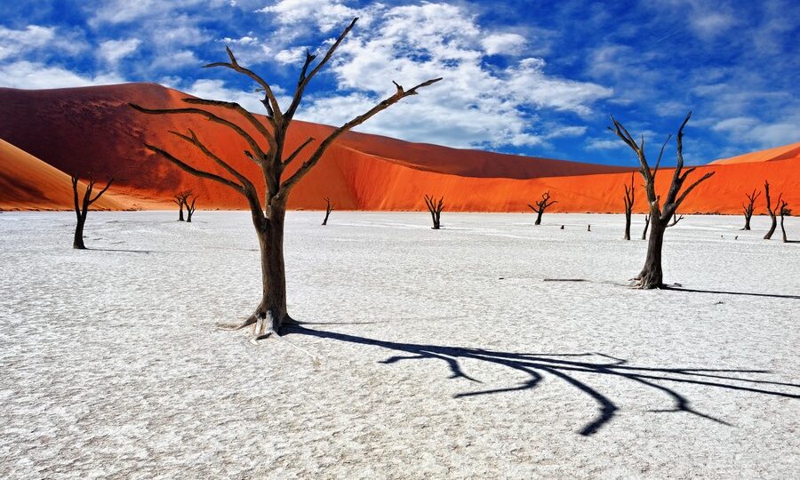 Dead Vlei, deserto del Namib